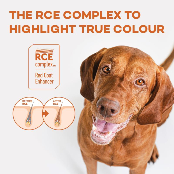 Inhancer for dogs shop
